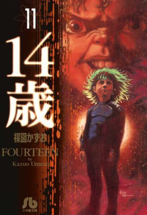 Fourteen - Volume 11