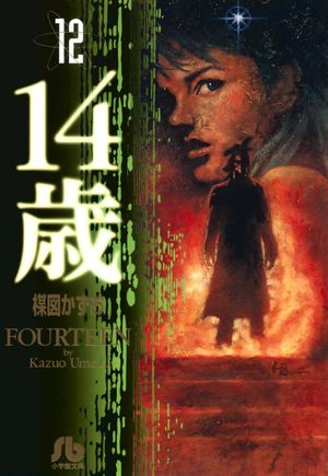 Fourteen - Volume 12