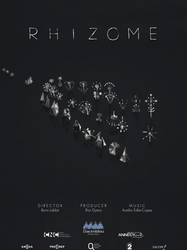 Rhizome