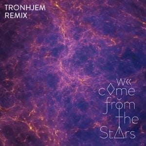 We Come From The Stars (Tronhjem Remix)