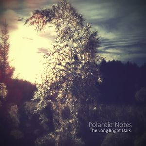 The Long Bright Dark (EP)