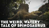 The Weird, Watery Tale of Spinosaurus