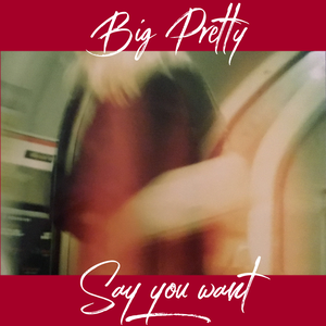 Say You Want (Single)
