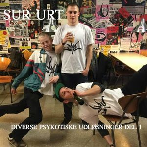 Diverse psykotiske udløsninger, del 1 (EP)