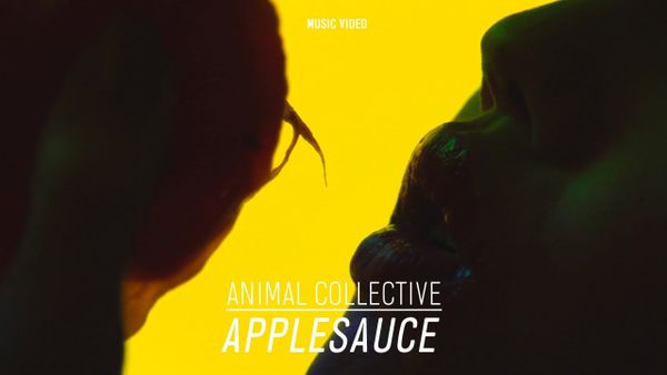 Animal Collective: Applesauce