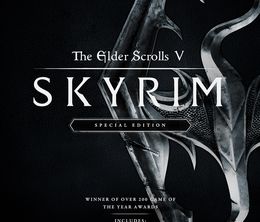image-https://media.senscritique.com/media/000017794541/0/the_elder_scrolls_v_skyrim_special_edition.jpg