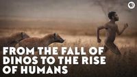 From the Fall of Dinos to the Rise of Humans