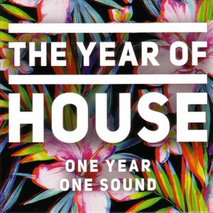 The Year of House: One Year One Sound