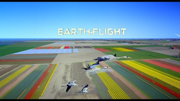 Earthflight