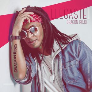 Llegaste (Single)