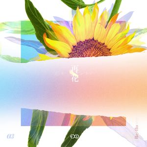 [Re:flower] PROJECT #3 (Single)