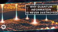 Why Quantum Information is Never Destroyed