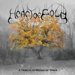 Heart of Gold: A Tribute to Woods of Ypres