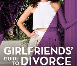 image-https://media.senscritique.com/media/000017825597/0/girlfriends_guide_to_divorce.jpg