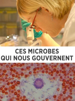 Ces microbes qui nous gouvernent