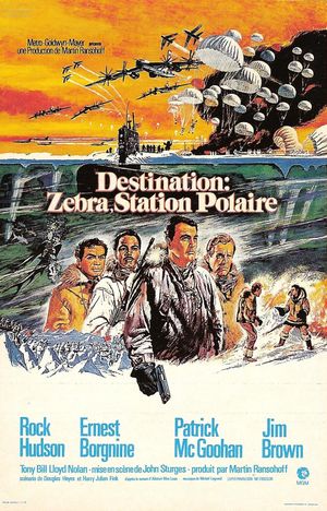 Destination : Zebra, station polaire