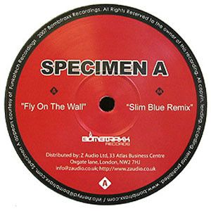 Fly on the Wall (Single)