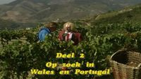 Wales en Portugal