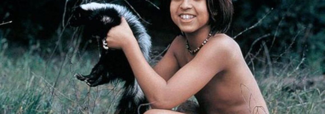 Cover The Jungle Book: Mowgli's Story
