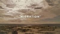 Migration