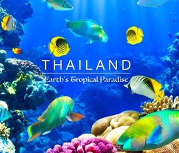 image-https://media.senscritique.com/media/000017841916/0/Thailand_Earth_s_Tropical_Paradise.jpg