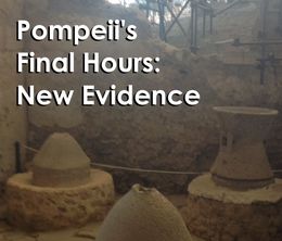image-https://media.senscritique.com/media/000017847633/0/Pompeii_s_Final_Hours_New_Evidence.jpg