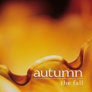 The Fall (Single)