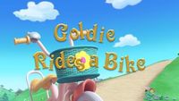 Goldie Rides a Bike