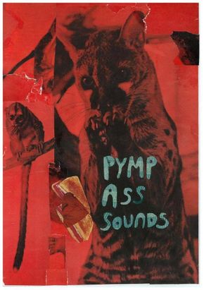 PYMP ASS SOUNDS