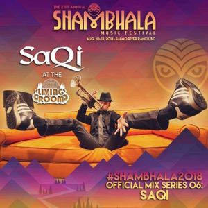 Shambhala 2018 Official Mix Series: SaQi (Single)