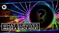 What Survives Inside A Black Hole?