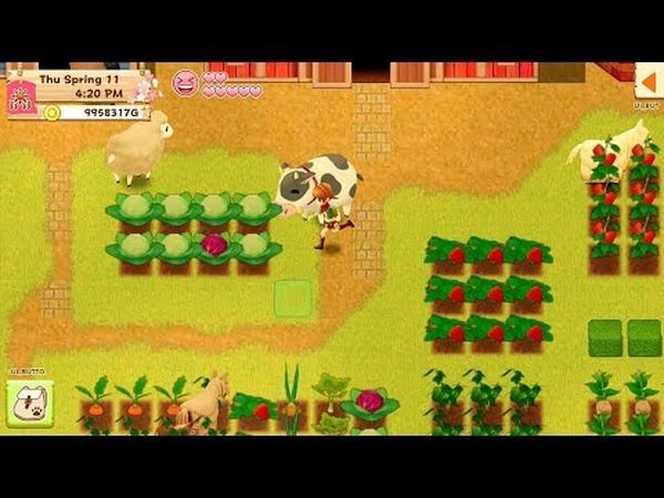 Harvest Moon : Lumière d'espoir