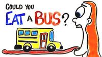 Can You Actually Eat A Bus?