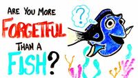 Are You More Forgetful Than A Fish?