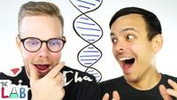 Our DNA Test Results! - The LAB