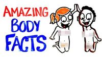 Your Body Is Amazing Pt. 2