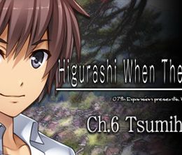 image-https://media.senscritique.com/media/000017860434/0/higurashi_when_they_cry_hou_ch_6_tsumihoroboshi.jpg