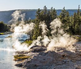 image-https://media.senscritique.com/media/000017860781/0/yellowstone_wildest_winter_to_blazing_summer.jpg