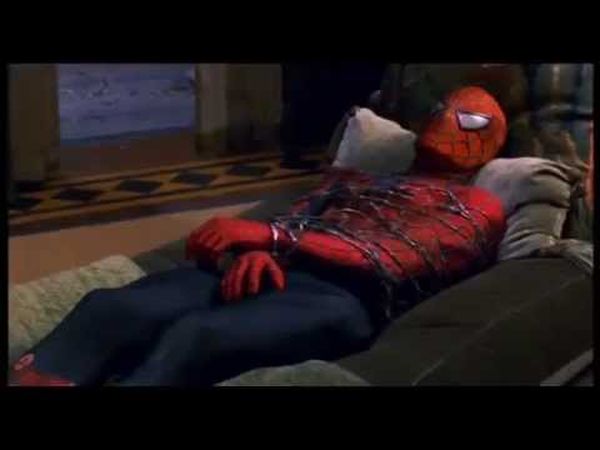 Spider-Man 2.1 : Extended Cut