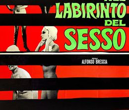 image-https://media.senscritique.com/media/000017861165/0/nel_labirinto_del_sesso_psichidion.jpg