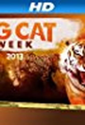 Big Cat Week