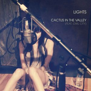 Cactus in the Valley (acoustic) (Single)