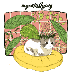 Mycatisflying (EP)