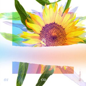 [Re:flower] PROJECT #4 (Single)