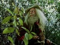 The Hermit