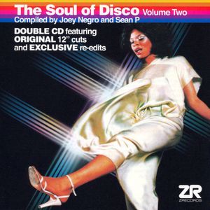 The Soul of Disco, Volume Two