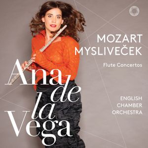 Flute Concerto in D major: II. Andante mezza voce