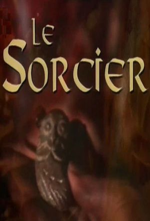 Le Sorcier - Série (1994) - SensCritique