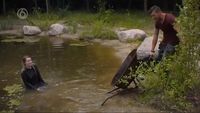 Aflevering 8
