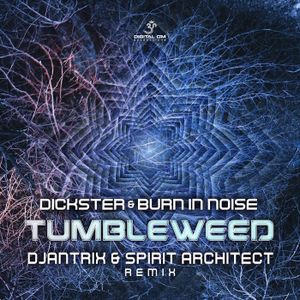 Tumbleweed (Djantrix & Spirit Architect remix)